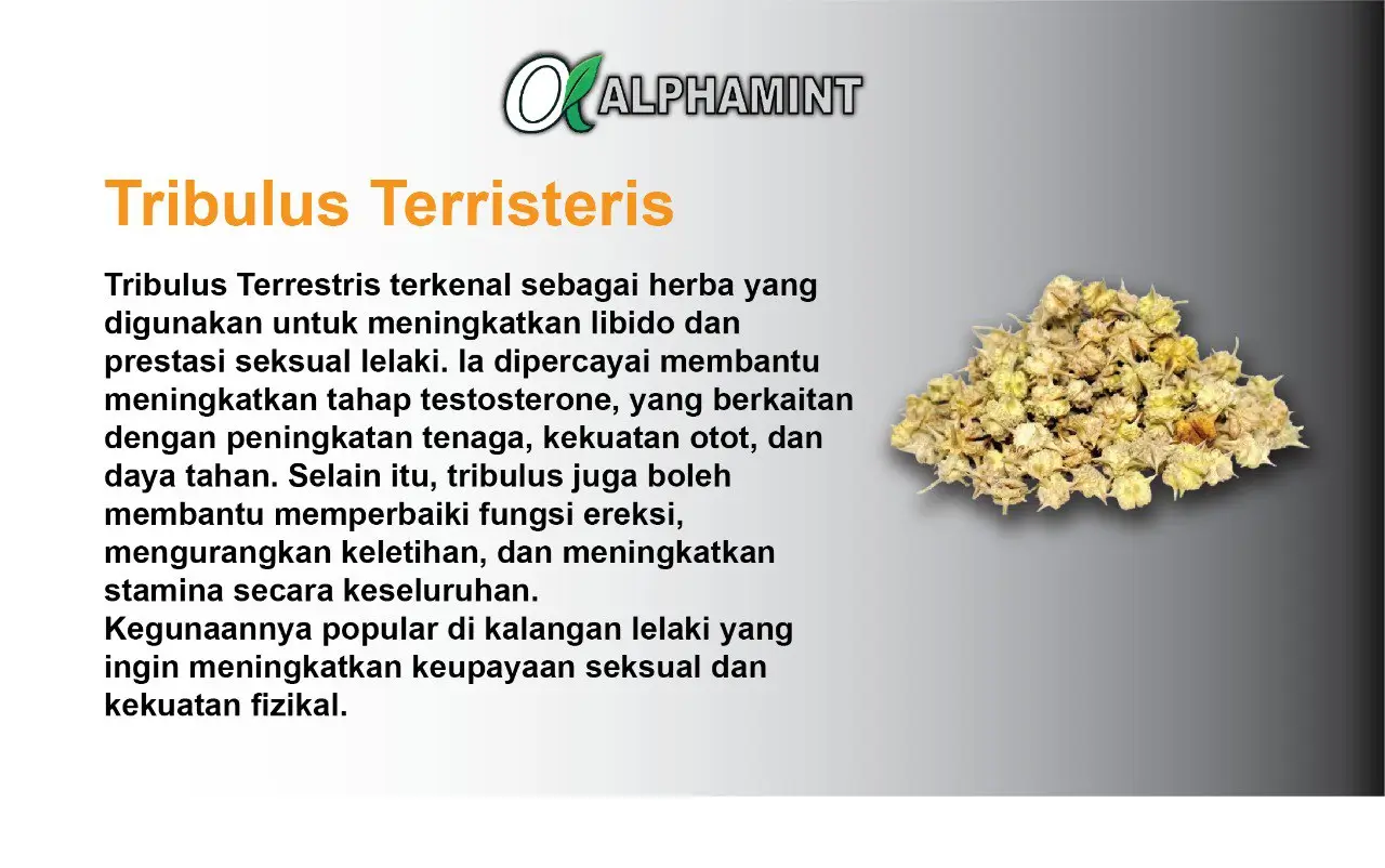 ALPHAMINT ODF FILM 6 TRIBULUS TERRITERIS
